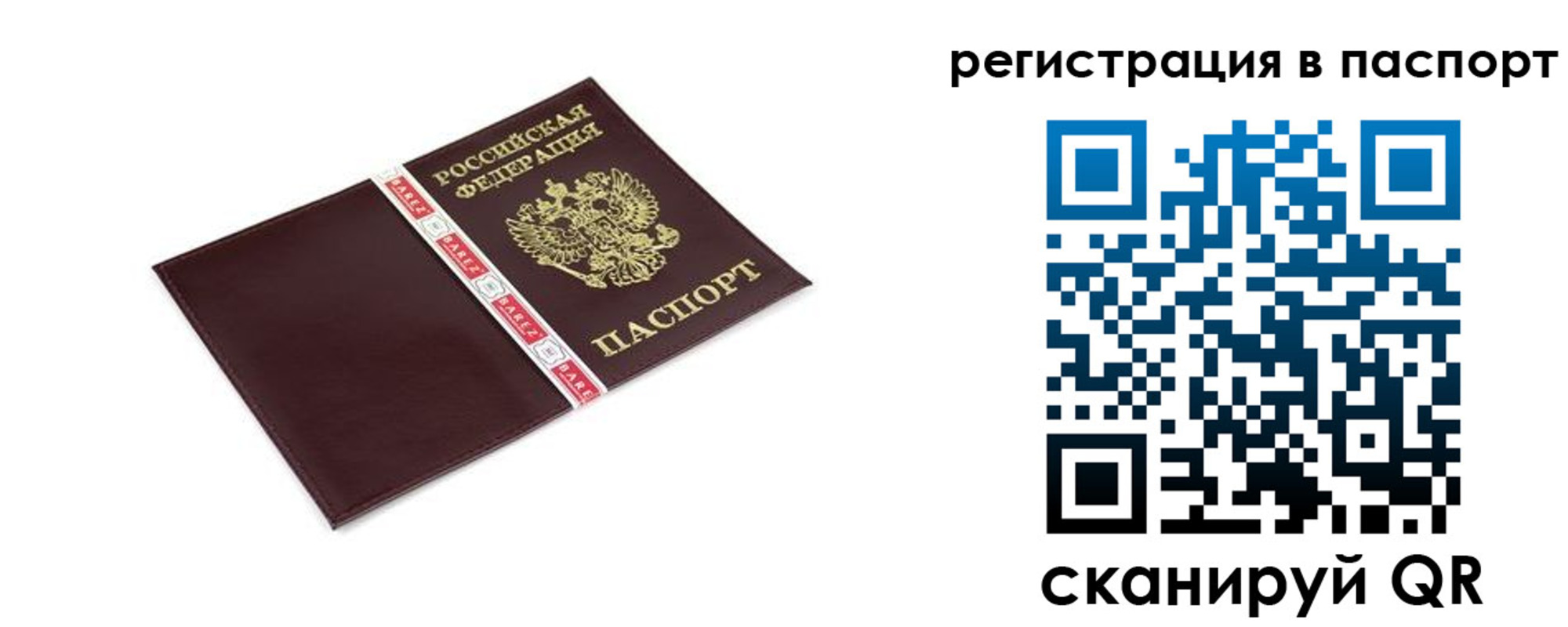 пропишу в квартире в Славгороде